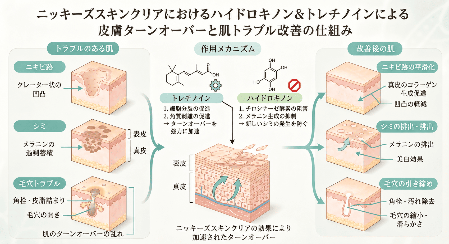 ニッキーズスキンクリア Nikki's Skin Clear 通常使用 (シミ、そばかす